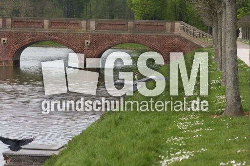 Graureiher-A 242.jpg